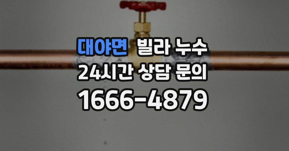 대야면 빌라 누수