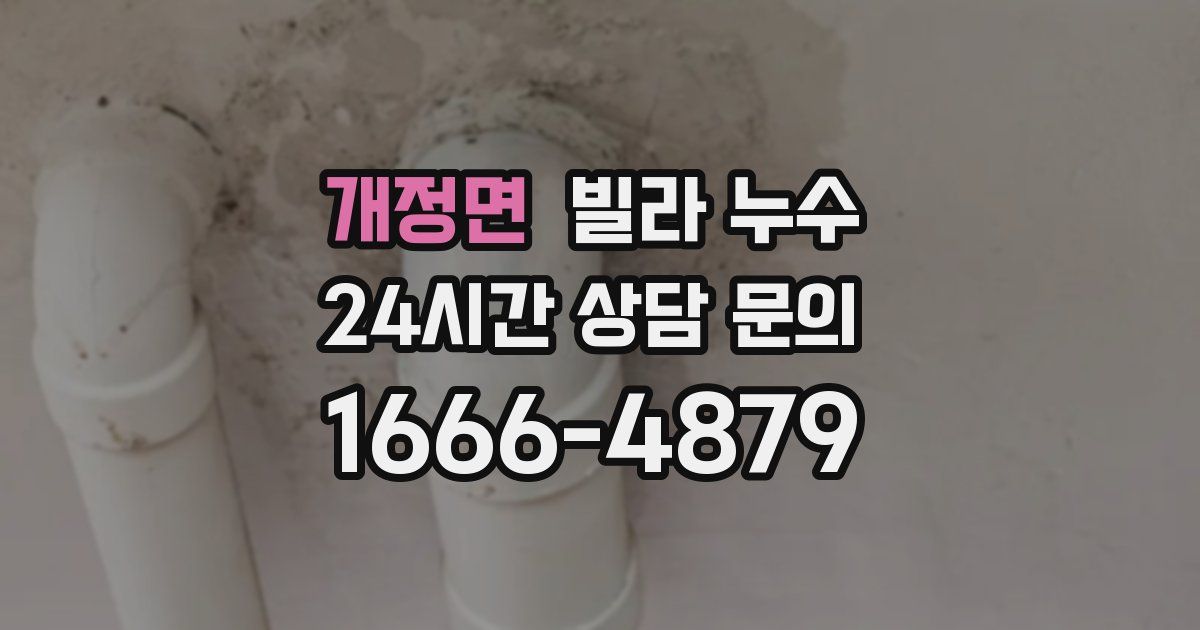 개정면 빌라 누수