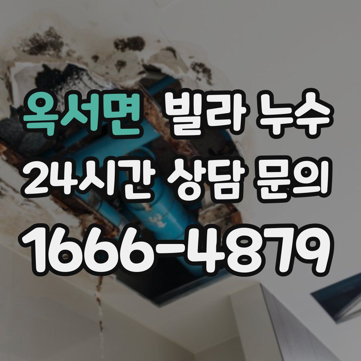 옥서면 빌라 누수