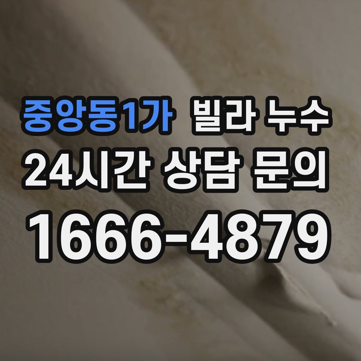 중앙동1가 빌라 누수