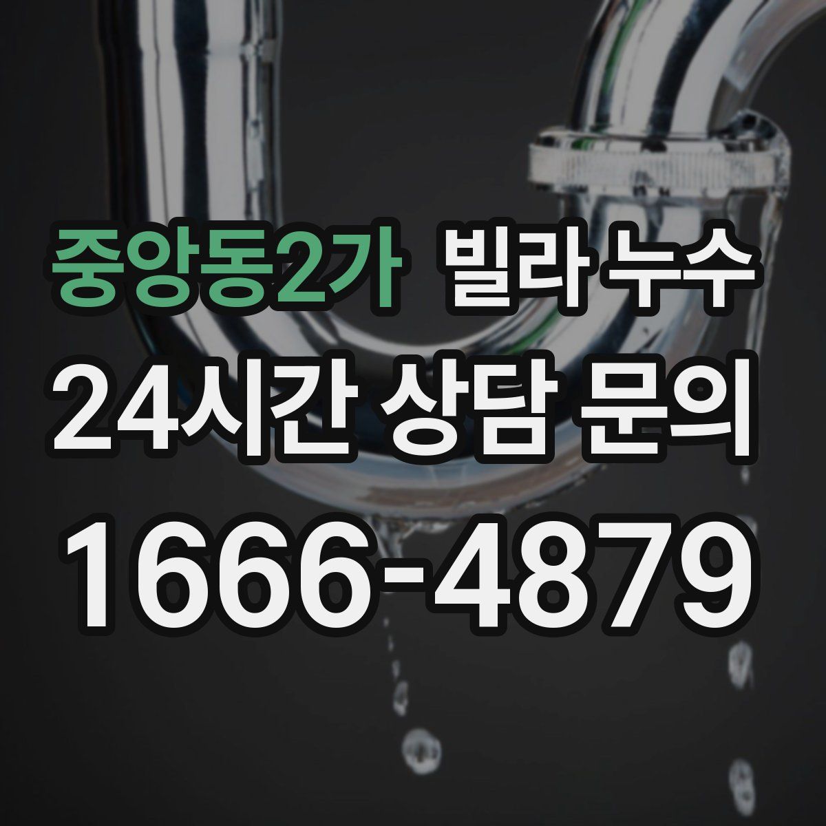 중앙동2가 빌라 누수