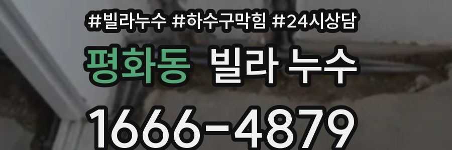 평화동 빌라 누수