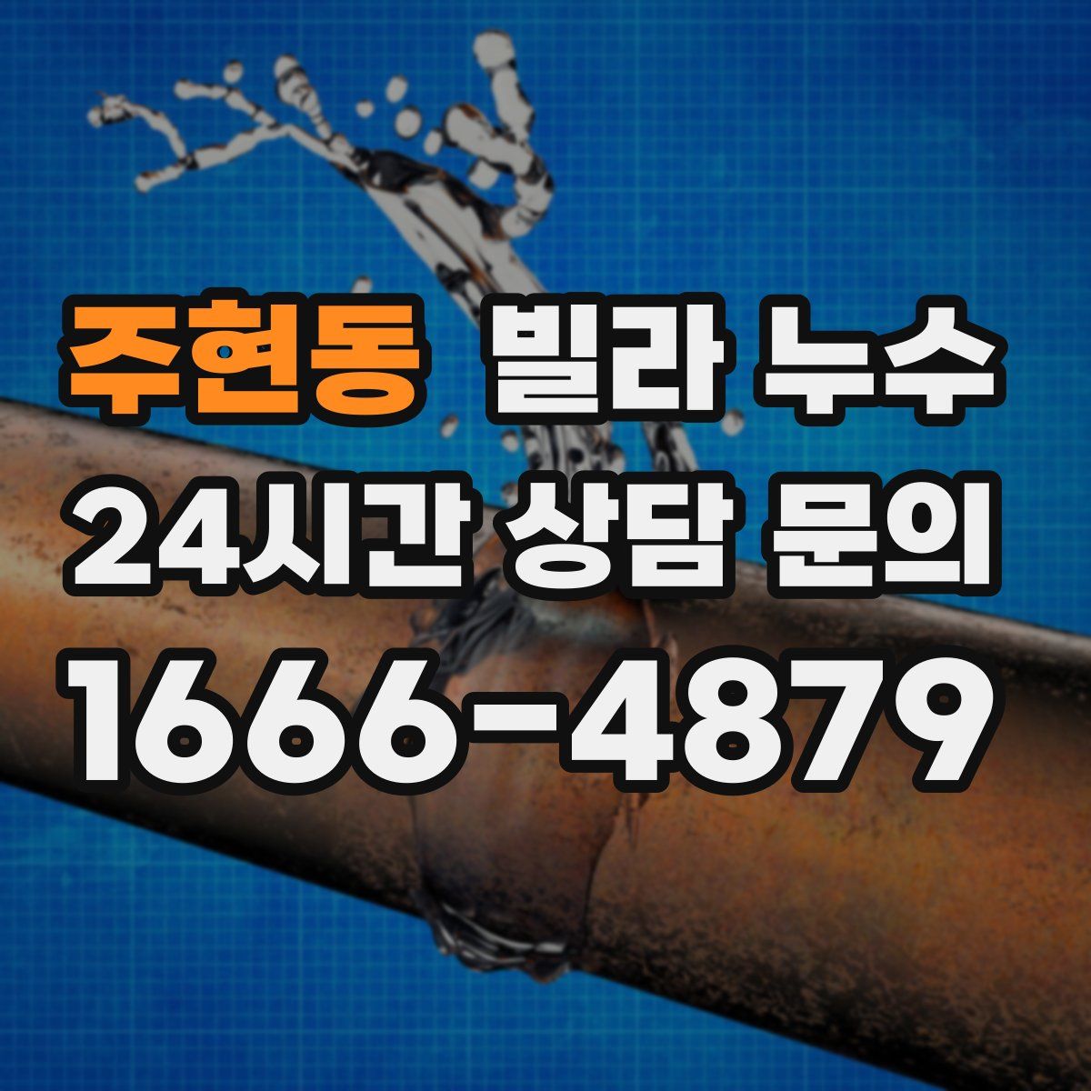 주현동 빌라 누수