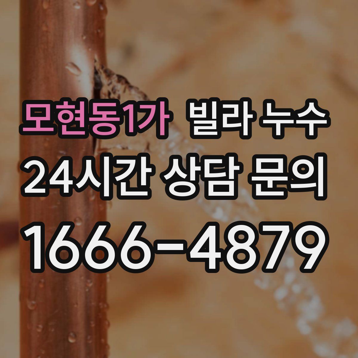 모현동1가 빌라 누수