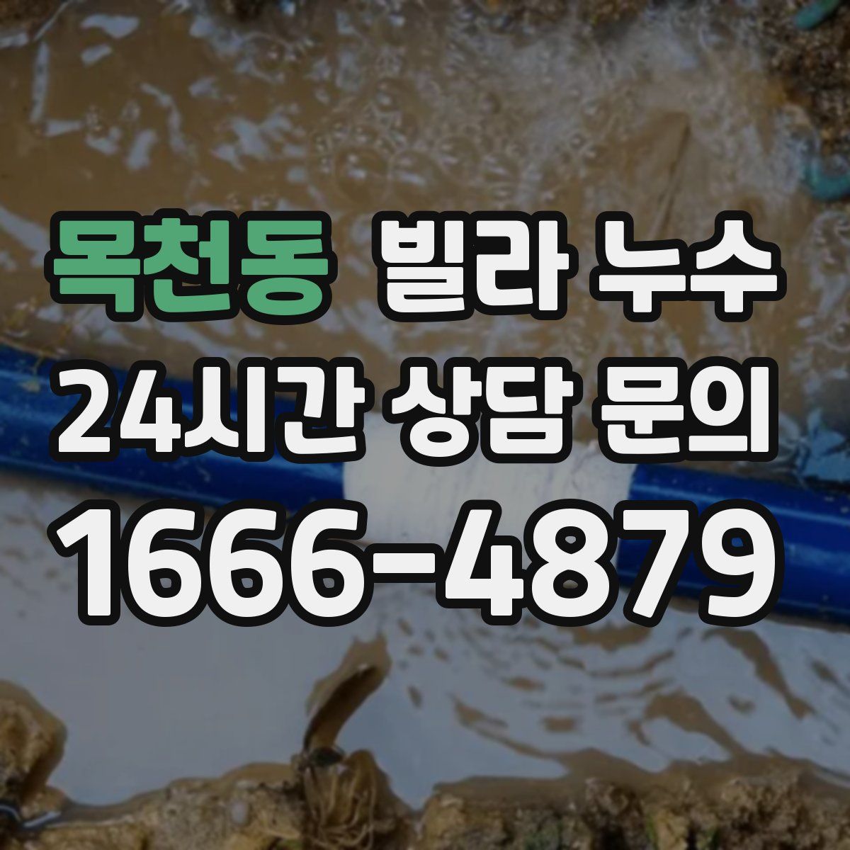 목천동 빌라 누수