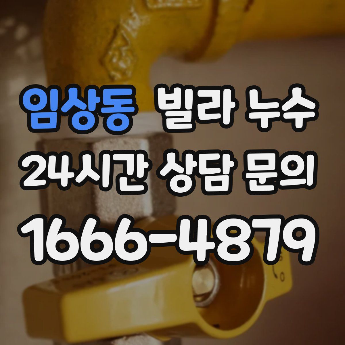 임상동 빌라 누수