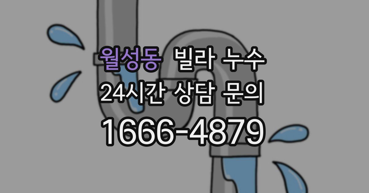 월성동 빌라 누수