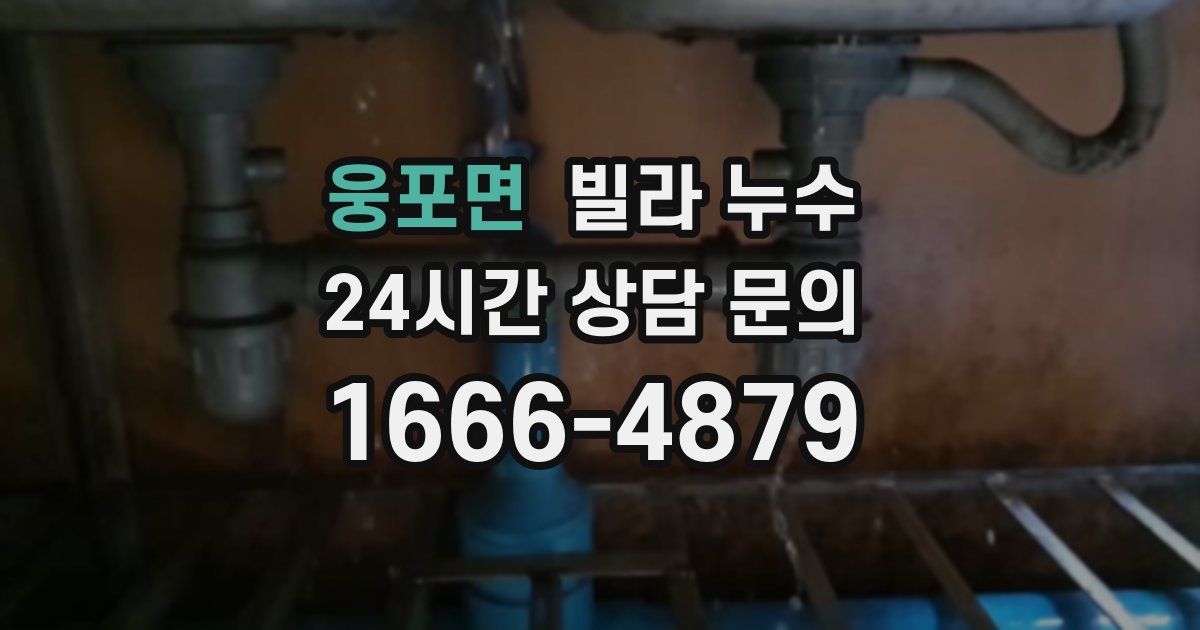 웅포면 빌라 누수