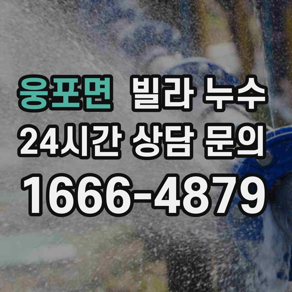 웅포면 빌라 누수