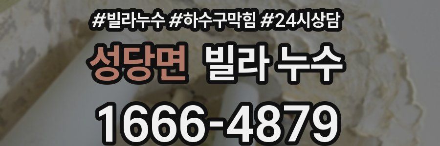 성당면 빌라 누수