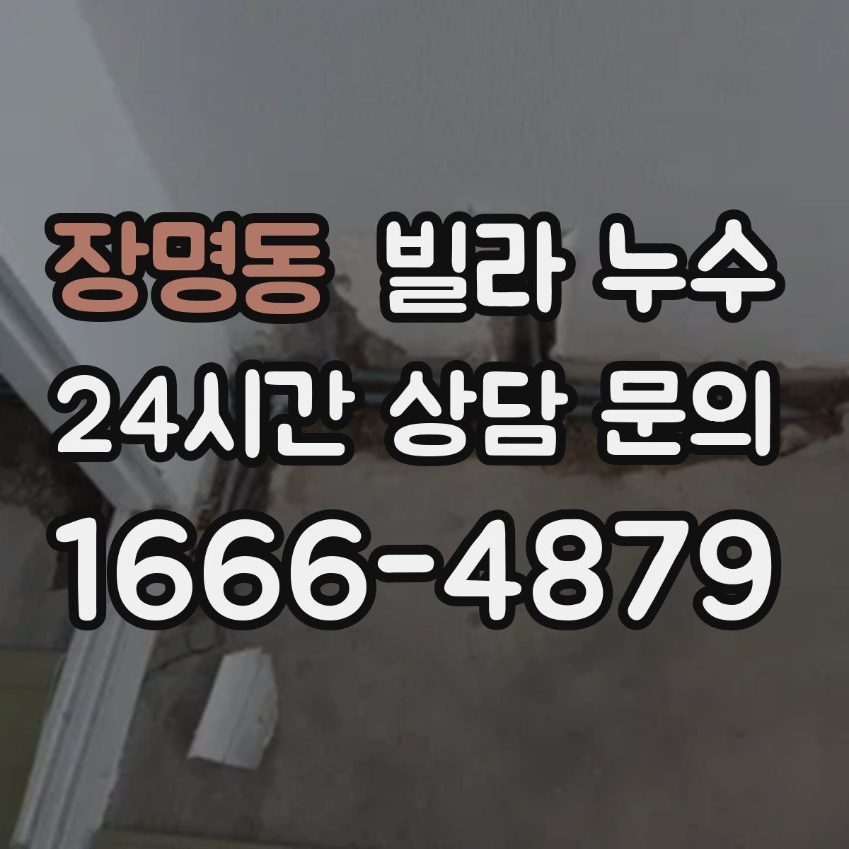 장명동 빌라 누수