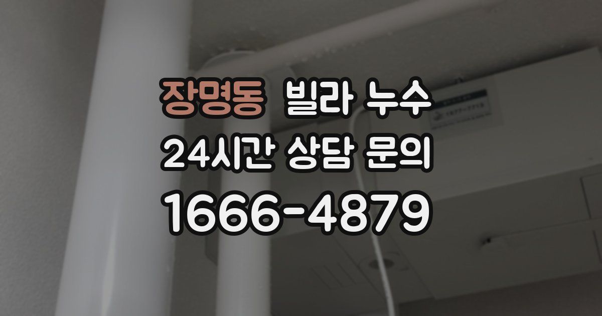 장명동 빌라 누수