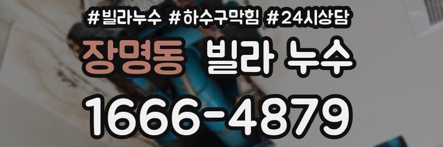 장명동 빌라 누수