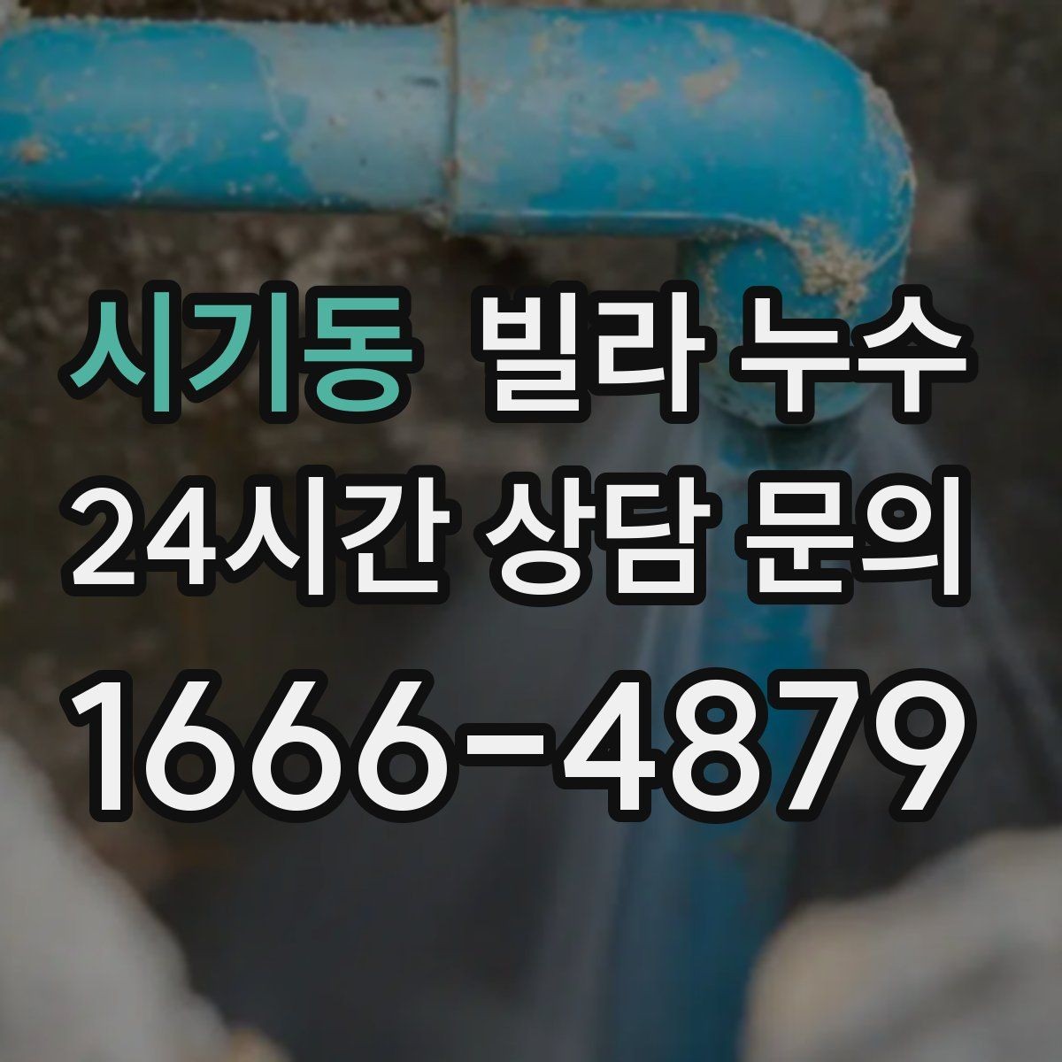 시기동 빌라 누수 집이 보내는 누수 신호를 놓치지 마세요