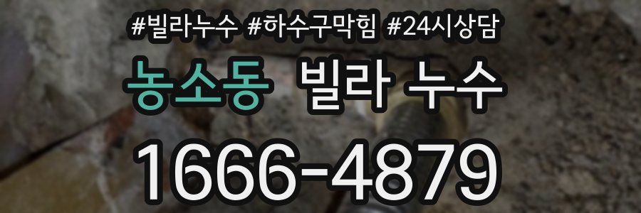 농소동 빌라 누수