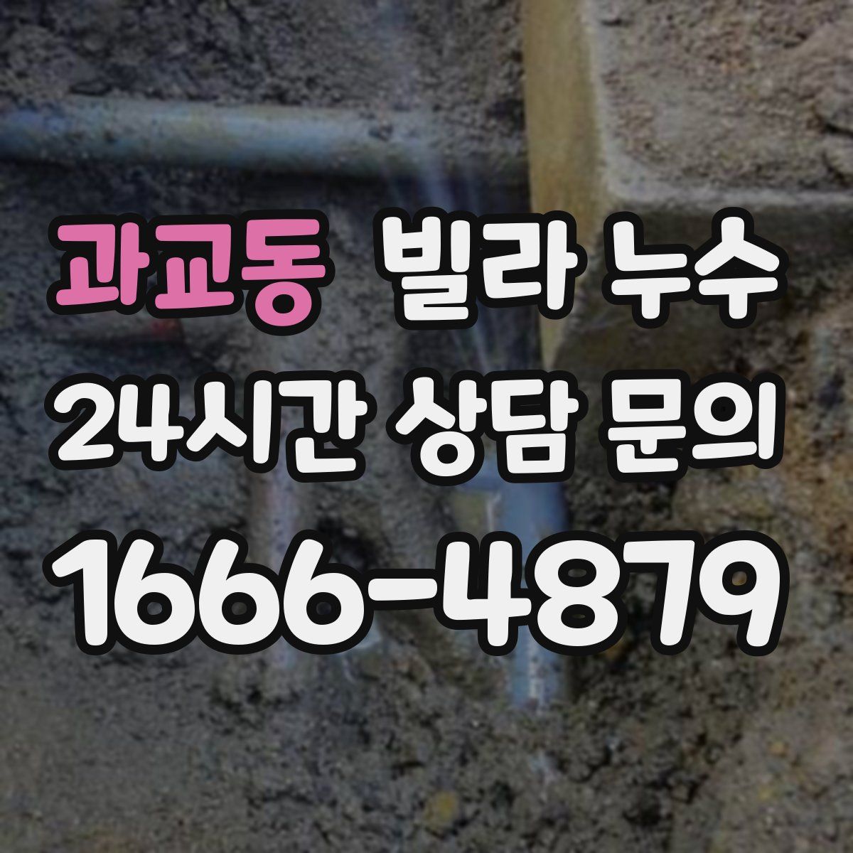 과교동 빌라 누수