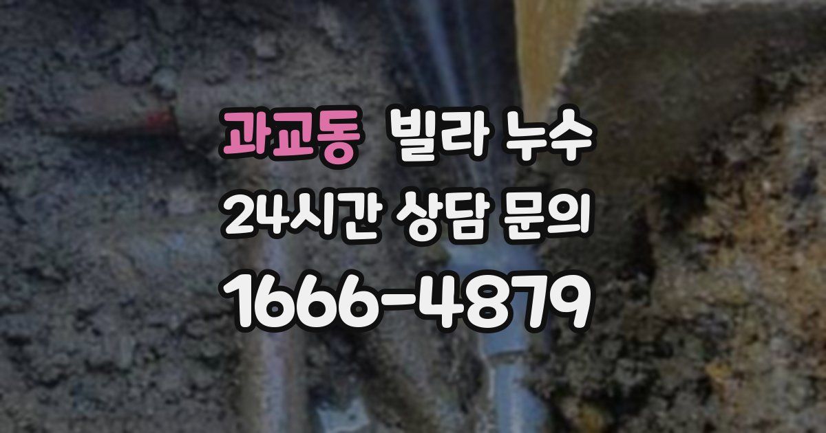 과교동 빌라 누수