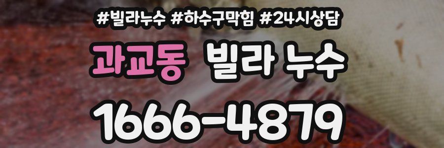 과교동 빌라 누수