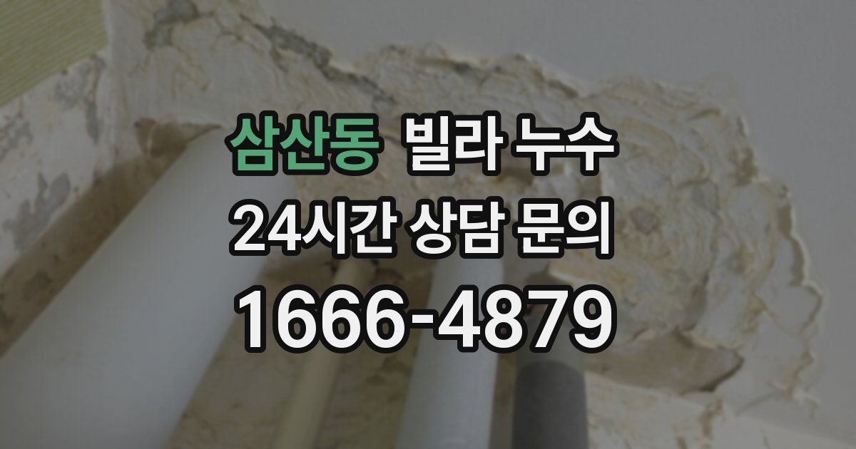 삼산동 빌라 누수