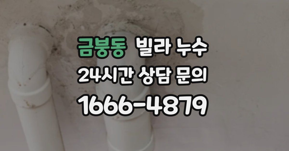 금붕동 빌라 누수