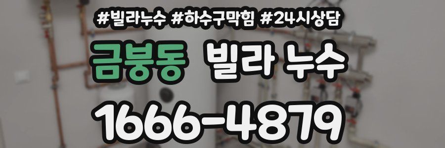 금붕동 빌라 누수