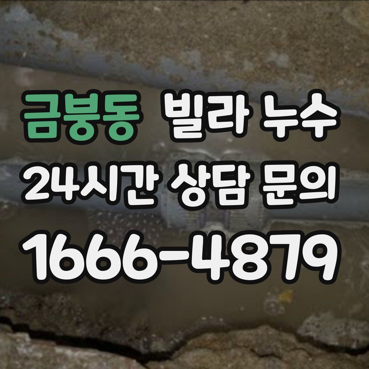 금붕동 빌라 누수