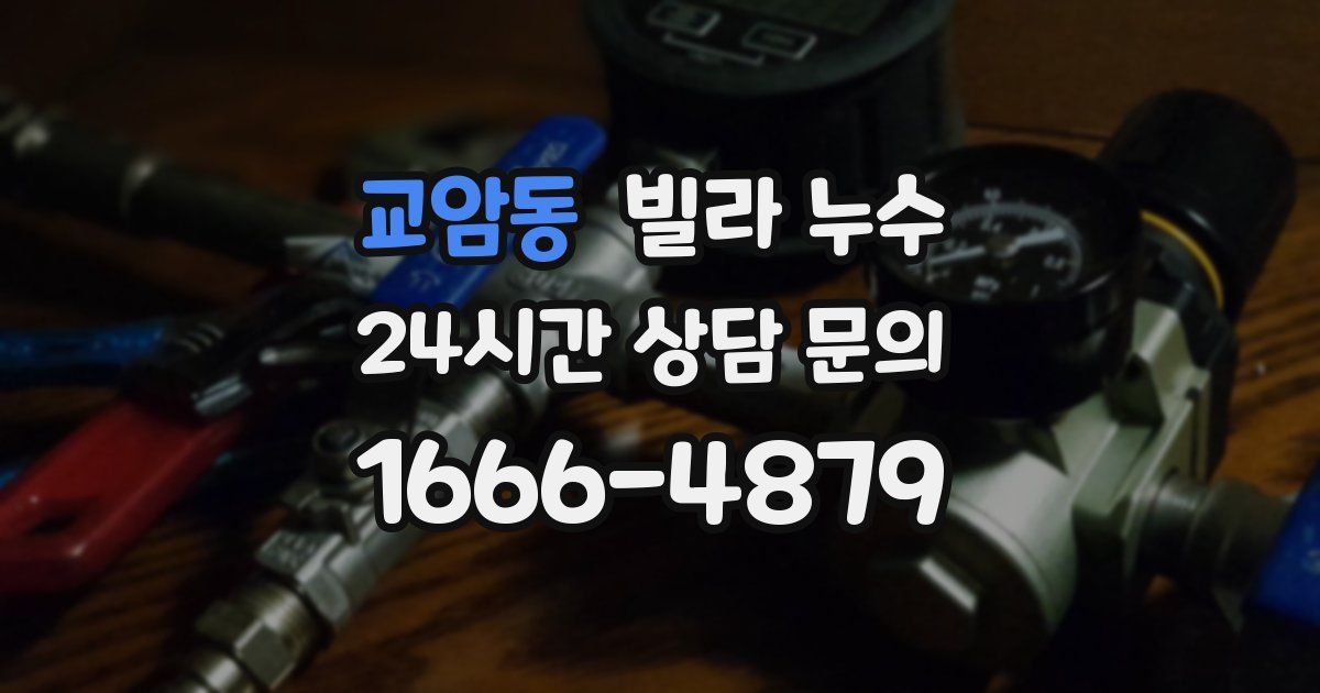 교암동 빌라 누수