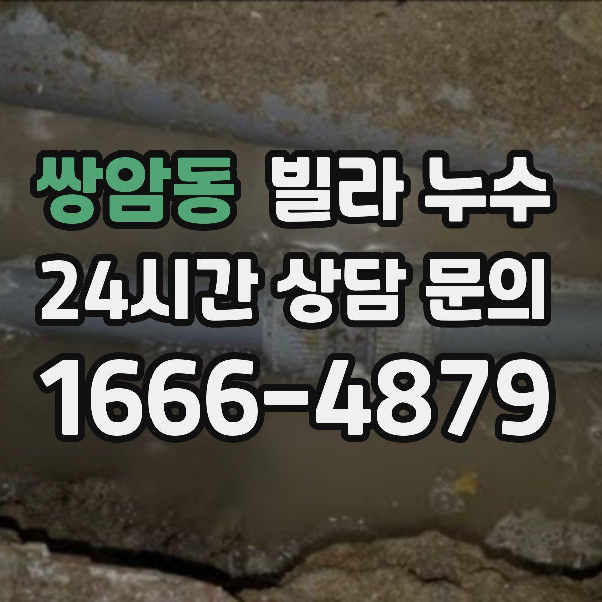 쌍암동 빌라 누수