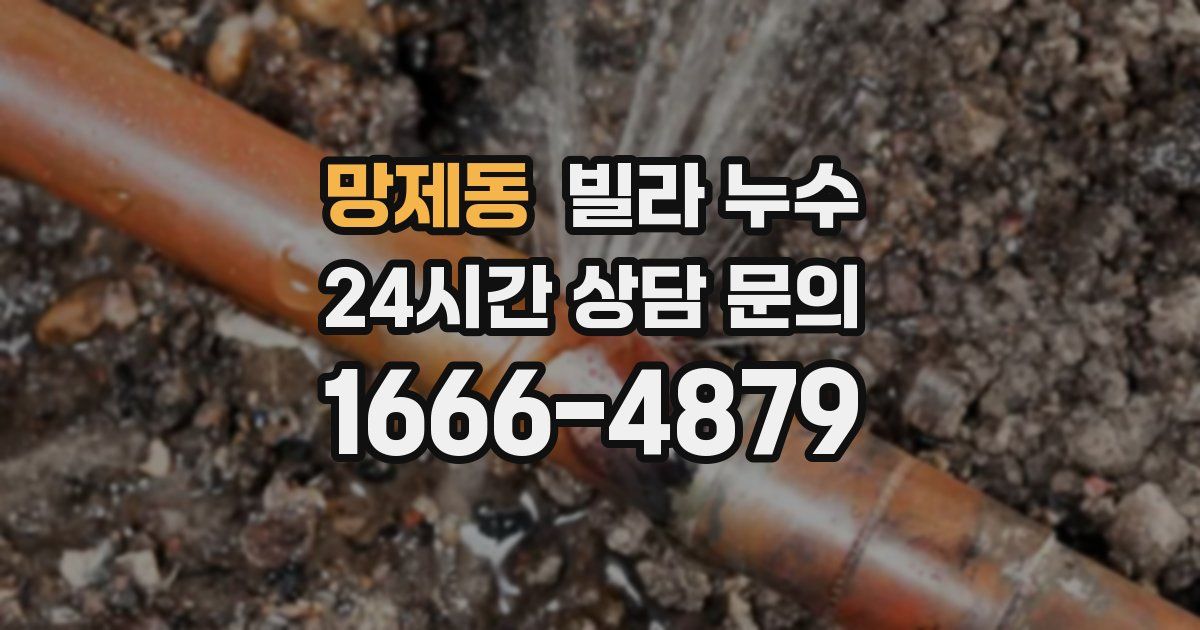 망제동 빌라 누수