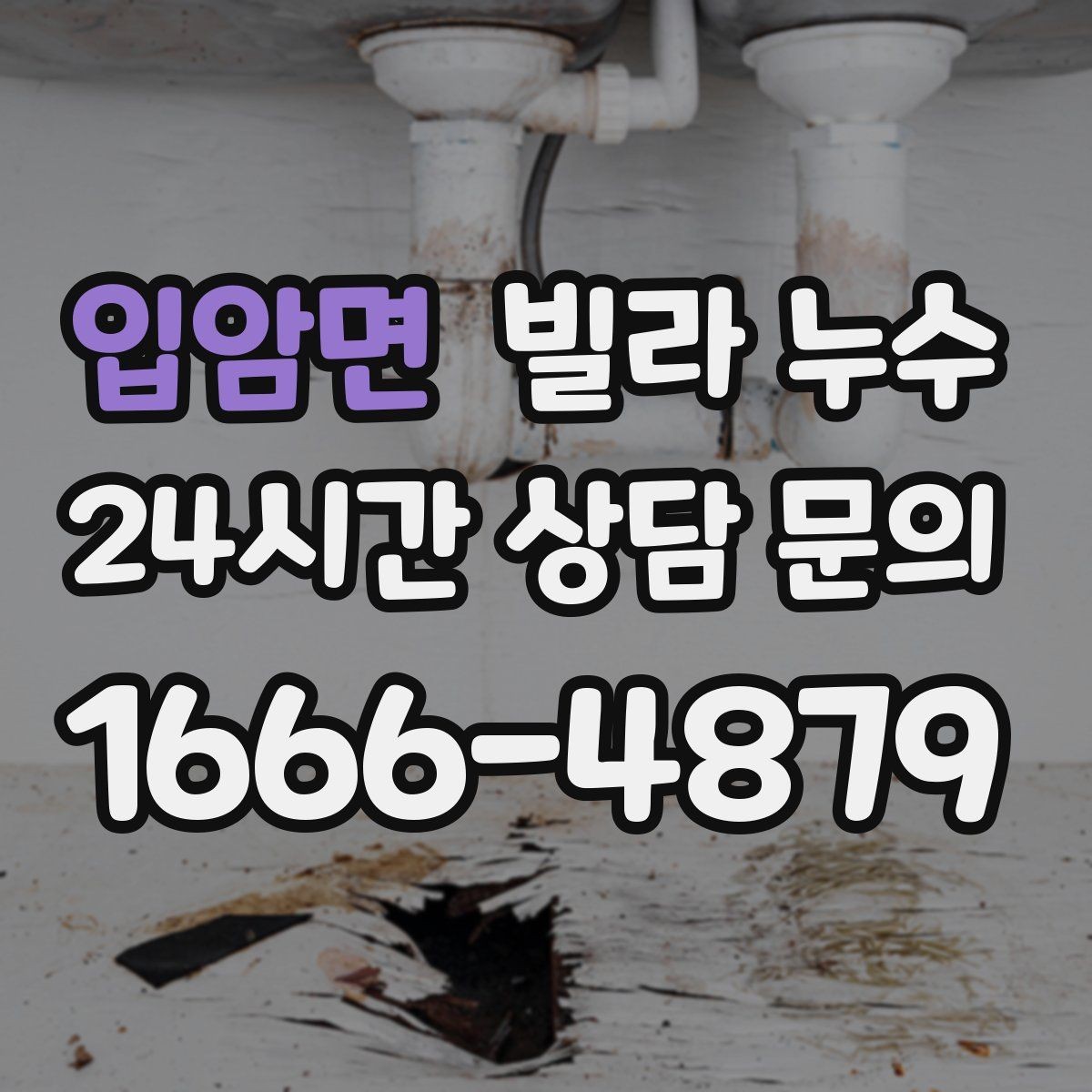 입암면 빌라 누수 가구 뒤 벽이 젖어 곰팡이가 생길 때