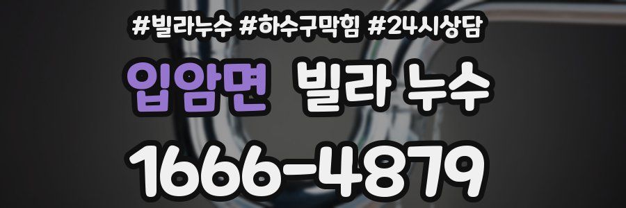 입암면 빌라 누수