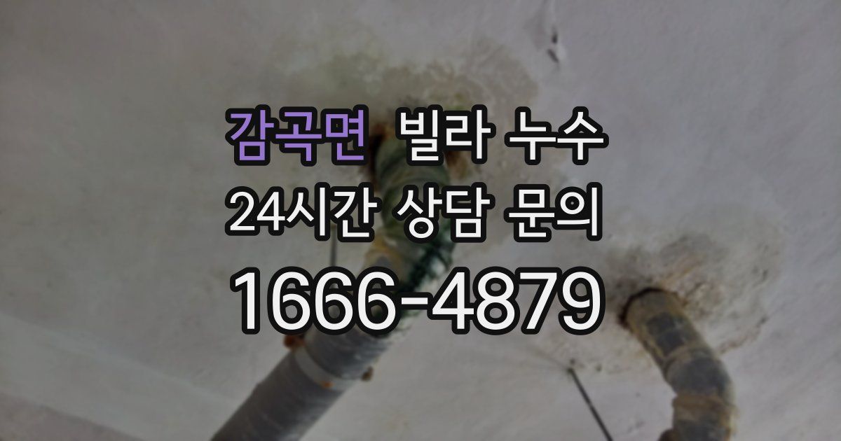 감곡면 빌라 누수