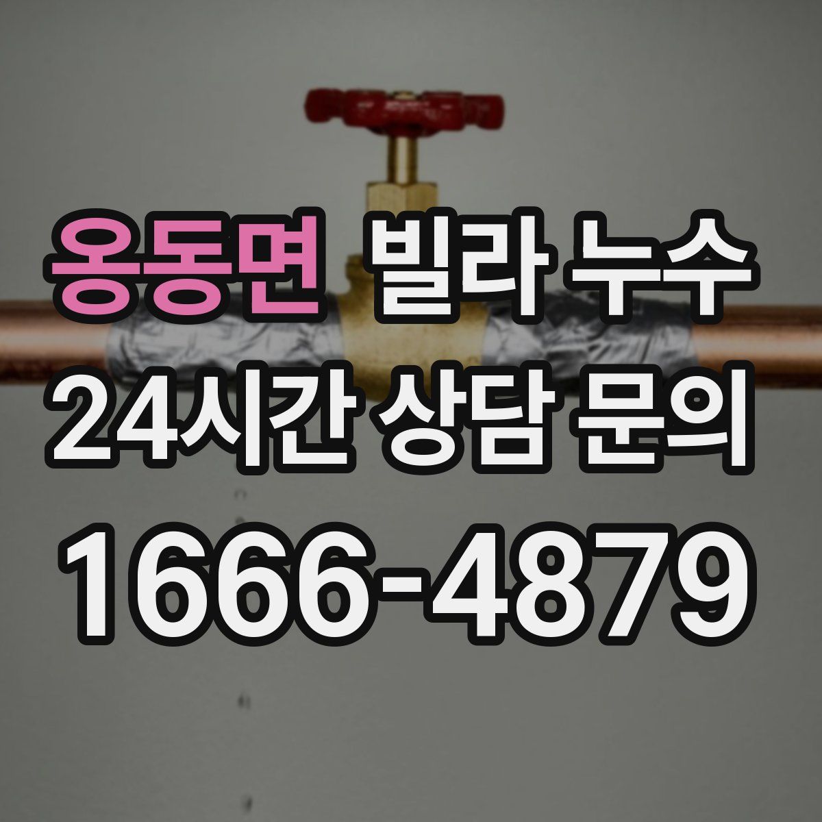 옹동면 빌라 누수