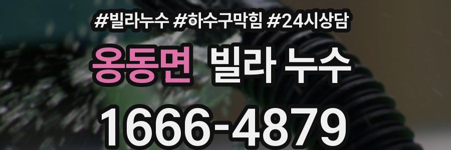 옹동면 빌라 누수