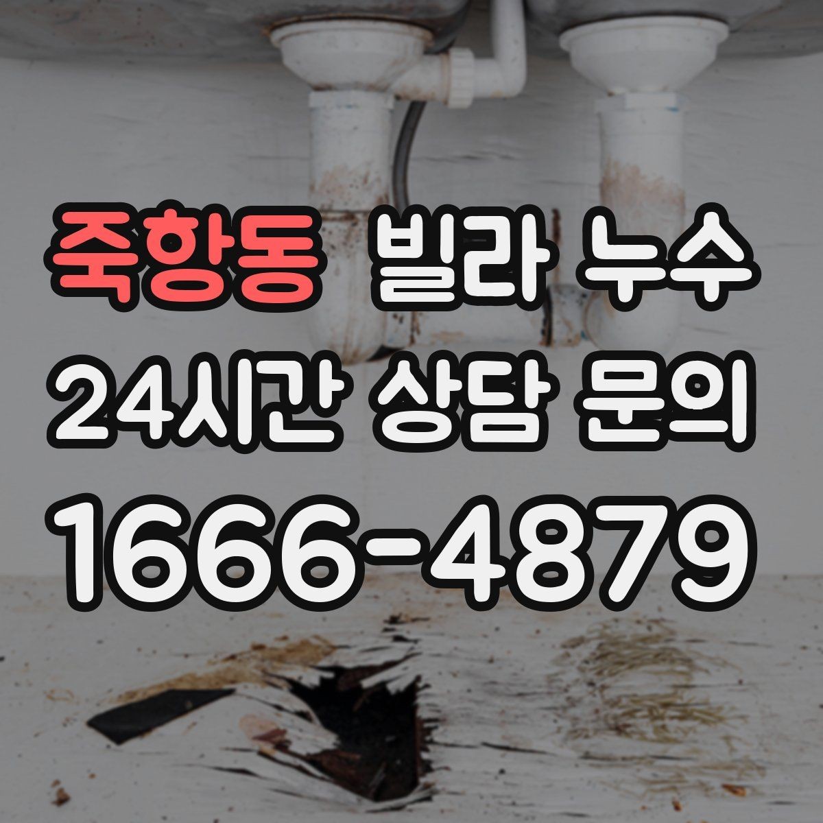 죽항동 빌라 누수 지금 보이는 얼룩, 방치하면 복구 범위가 커집니다
