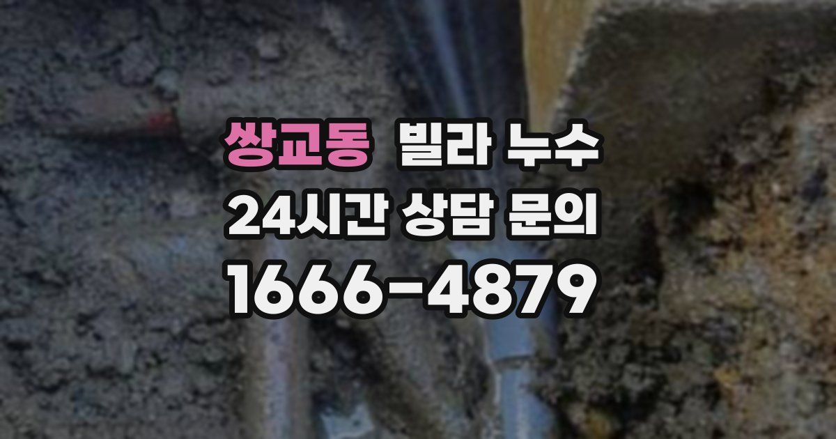 쌍교동 빌라 누수