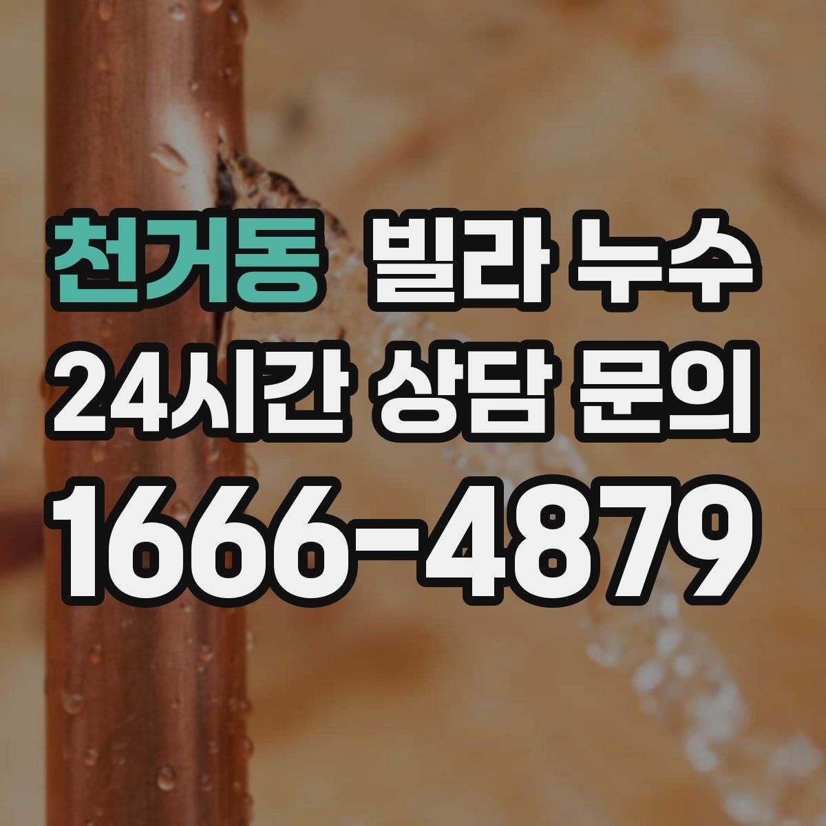 천거동 빌라 누수