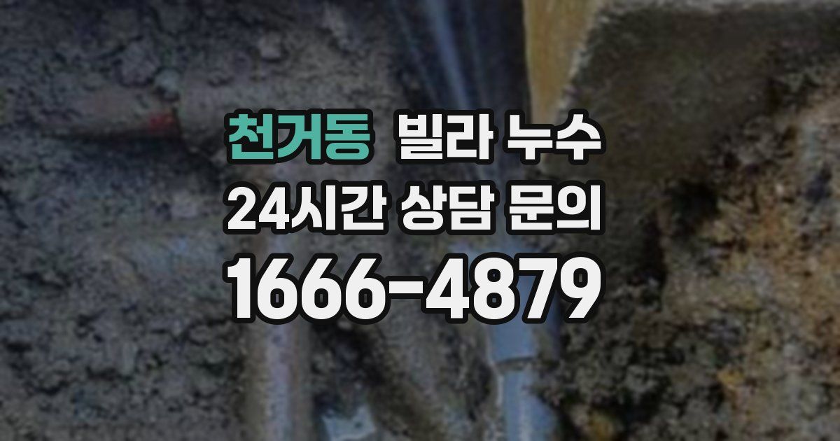 천거동 빌라 누수