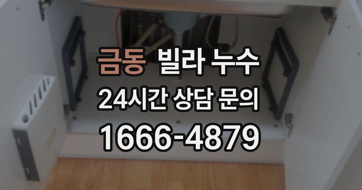 금동 빌라 누수