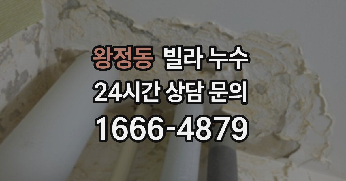 왕정동 빌라 누수