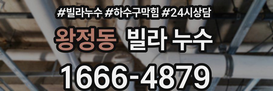 왕정동 빌라 누수