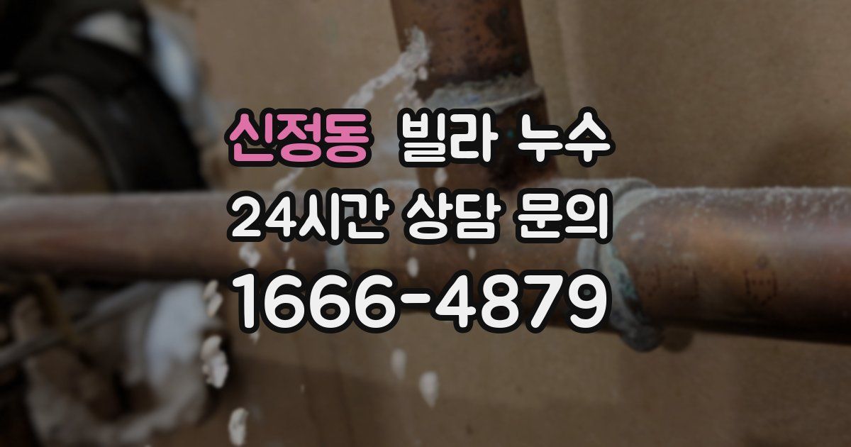 신정동 빌라 누수