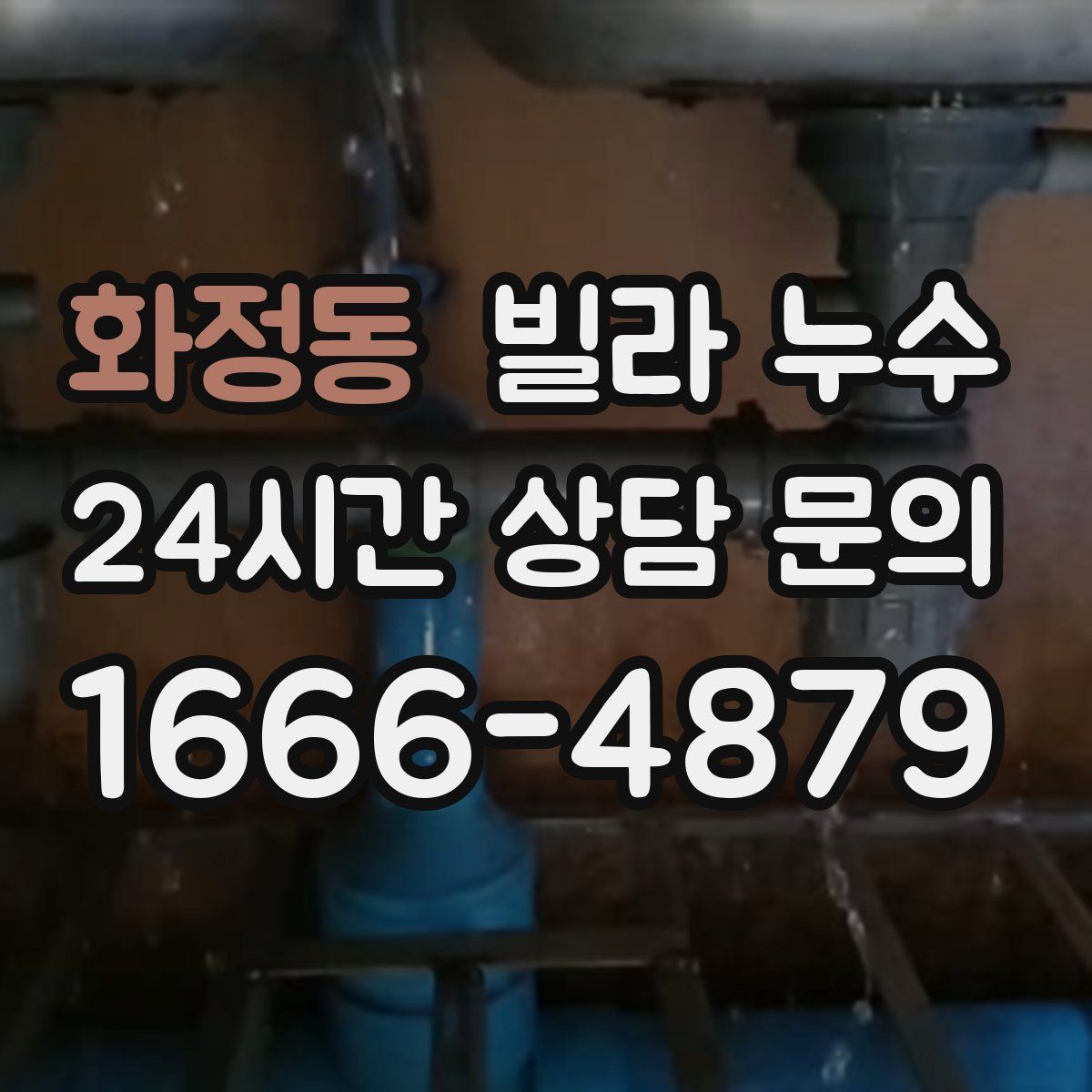 화정동 빌라 누수