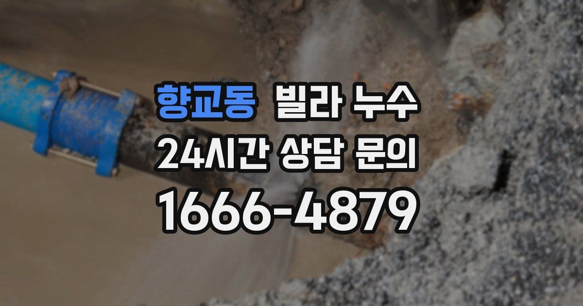 향교동 빌라 누수