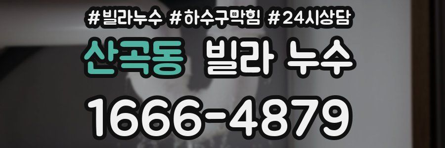 산곡동 빌라 누수