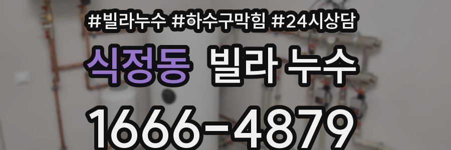 식정동 빌라 누수