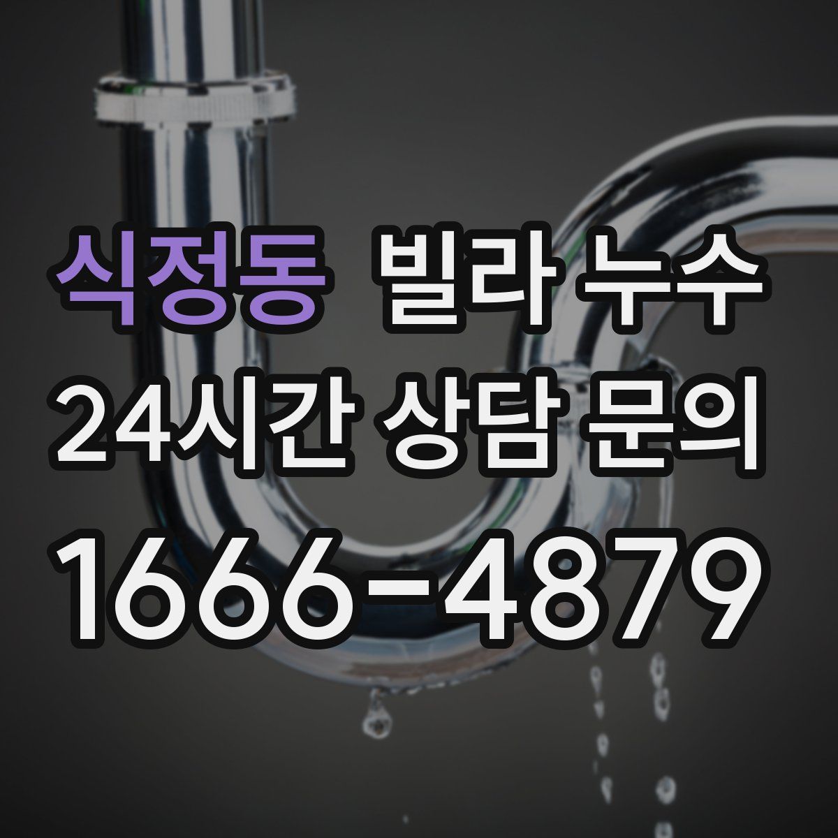 식정동 빌라 누수