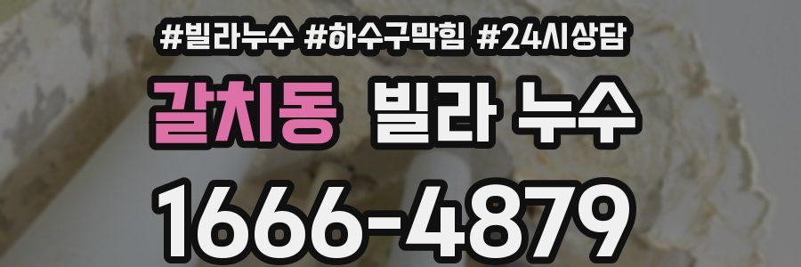 갈치동 빌라 누수