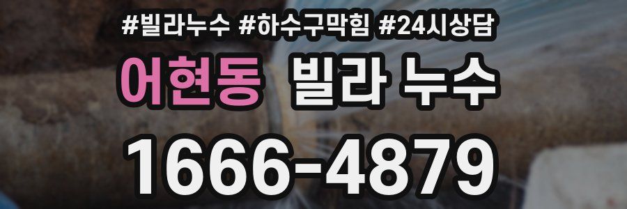 어현동 빌라 누수