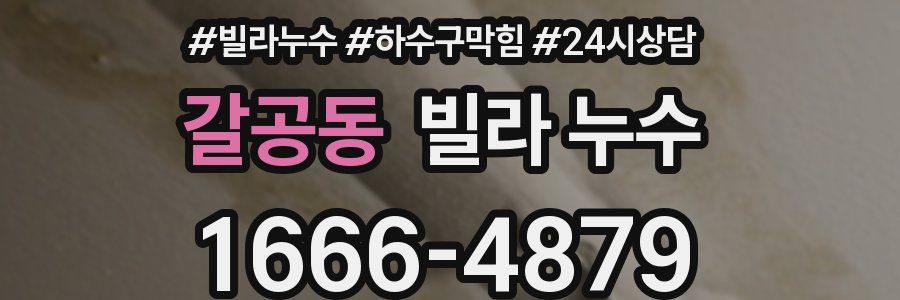 갈공동 빌라 누수